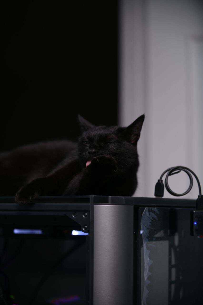 우리집 검은 똥괭이 7_12.jpg