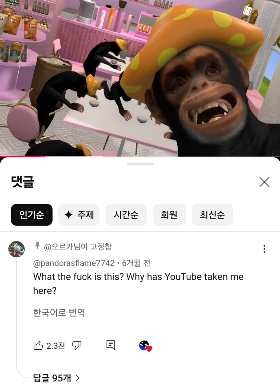 우우우 쌀쌀쌀 외국인 본거 개웃기네 ㅋㅋㅋㅋㅋㅋ_1.jpg