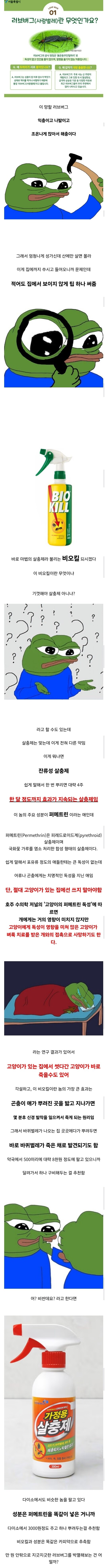 러브 버그를 막는 방법을 알아보자_1.jpg