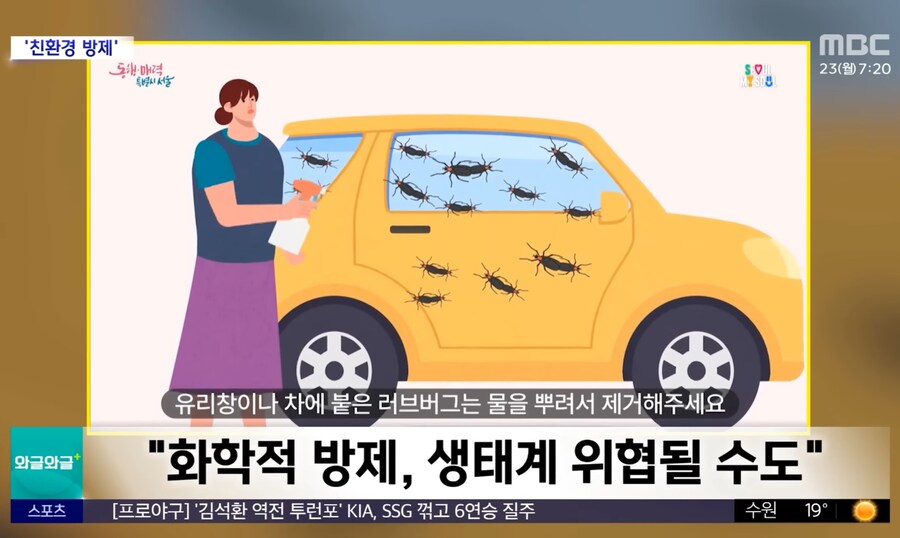 러브버그가 '익충'이라서 냅두는게 아님_3.jpg