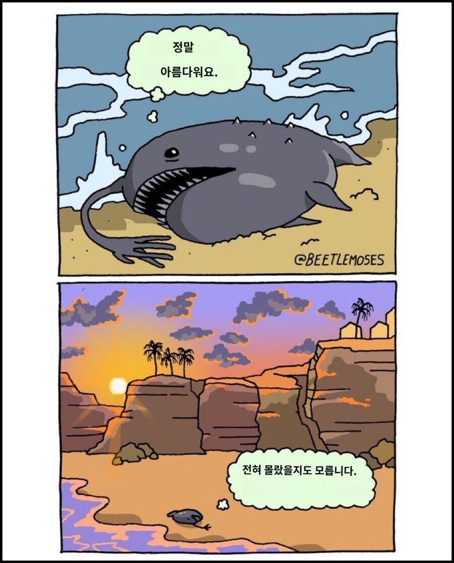 죽기 위해 육지로 나오는 물고기들._2.jpg