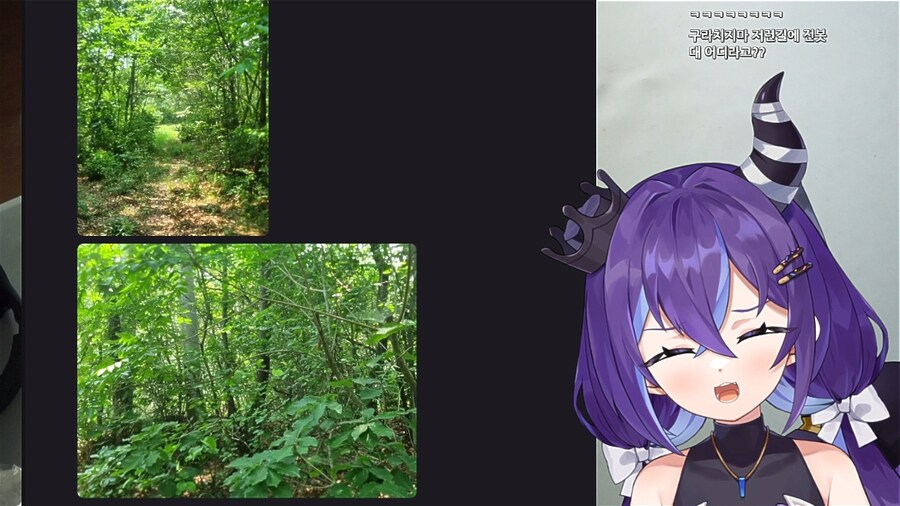 버튜버) 숲 출신 버튜버라길래_1.png