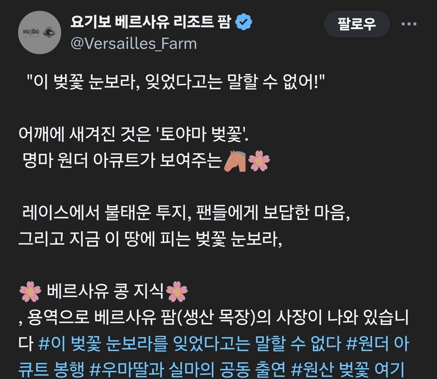 말딸) 빨간약_베르사유 리조트 팜에서 올라온 판넬과 사진 찍는 어큐트_1.jpg