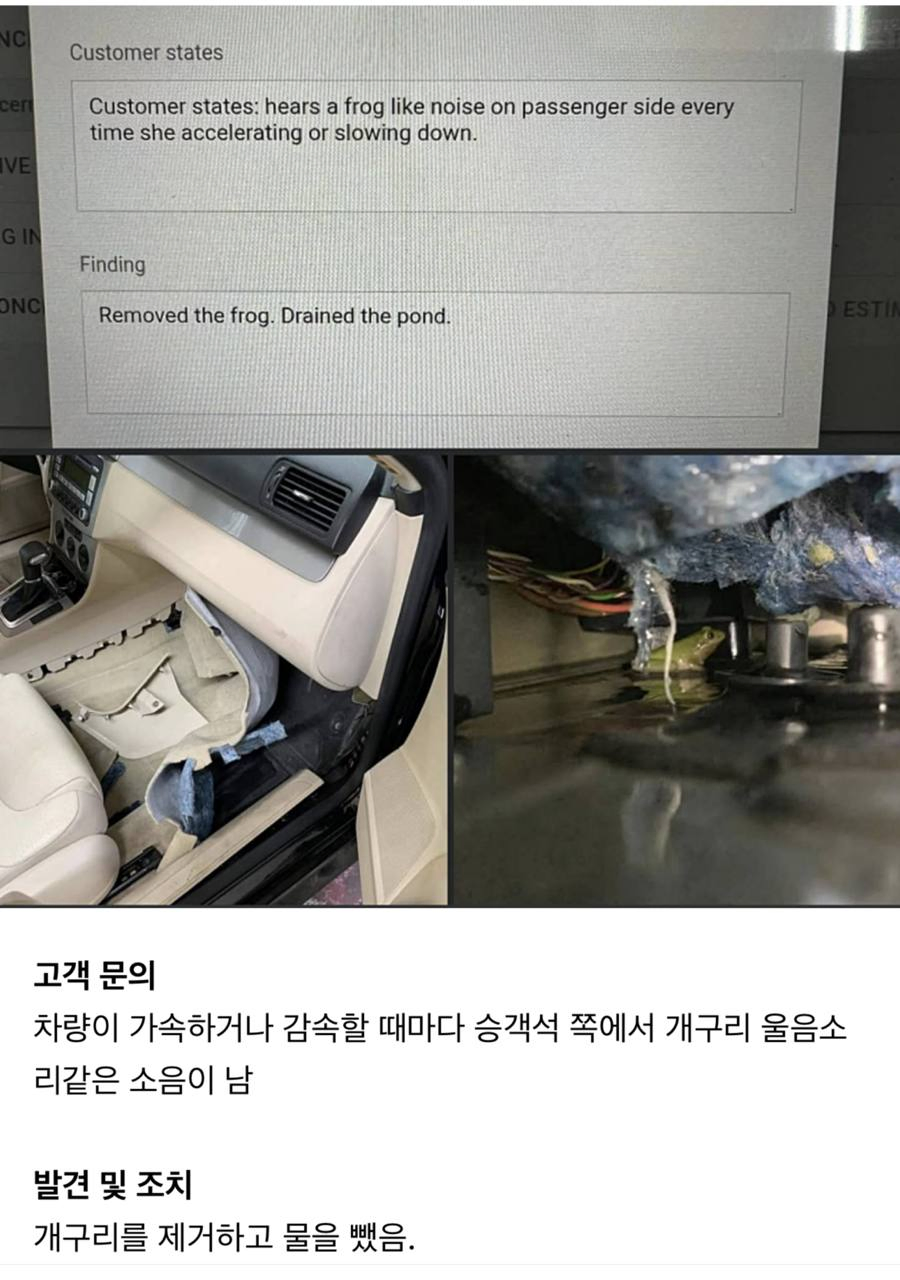 차에서 개구리 소리가 날 때 조치 방법....._1.webp