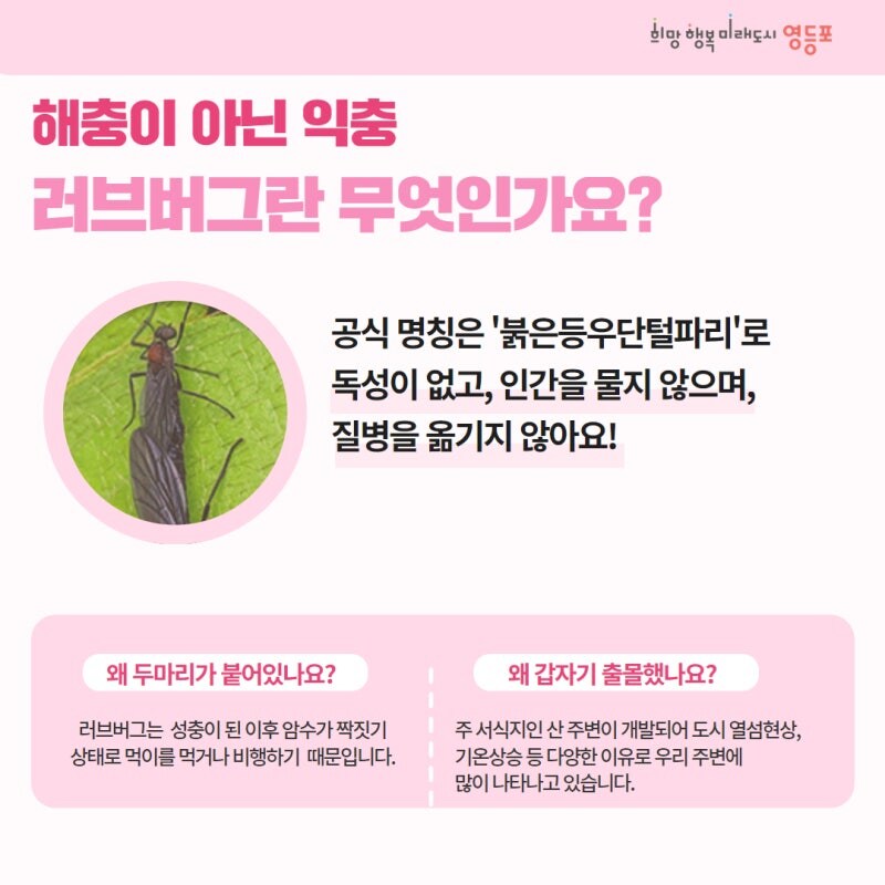 러브버그) 지방 사람들 특징_1.jpg