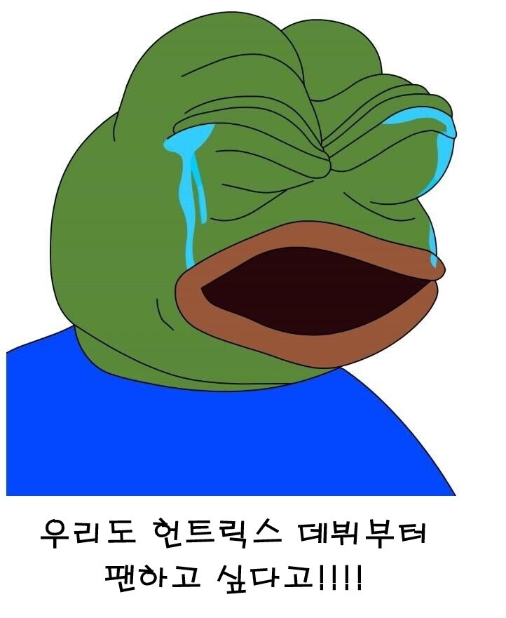케이팝) 헌트릭스 팬들이 억울한 점.JPG_3.jpg