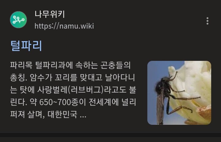 러브버그라는 명칭도 맘에 안 든다_1.png