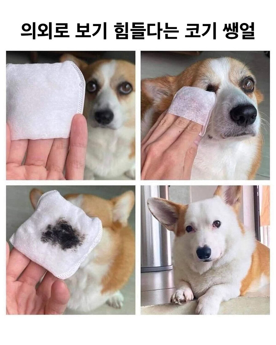 풀메만 보다가 생얼을 처음 봤을때..._1.jpg