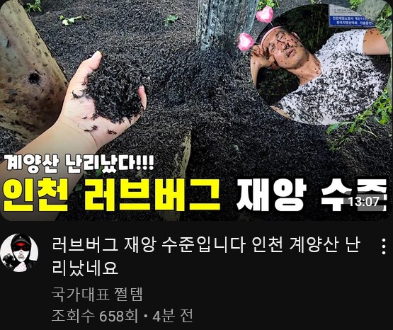 혐) 러브버그 찾으러 간 유튜버들 생겼군_1.png