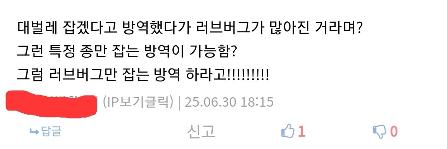 생각해보니까 어떻게 대벌레만 방제했던거지??_2.jpg
