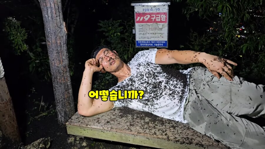 혐) 러브버그 찾으러 간 유튜버들 생겼군_4.png