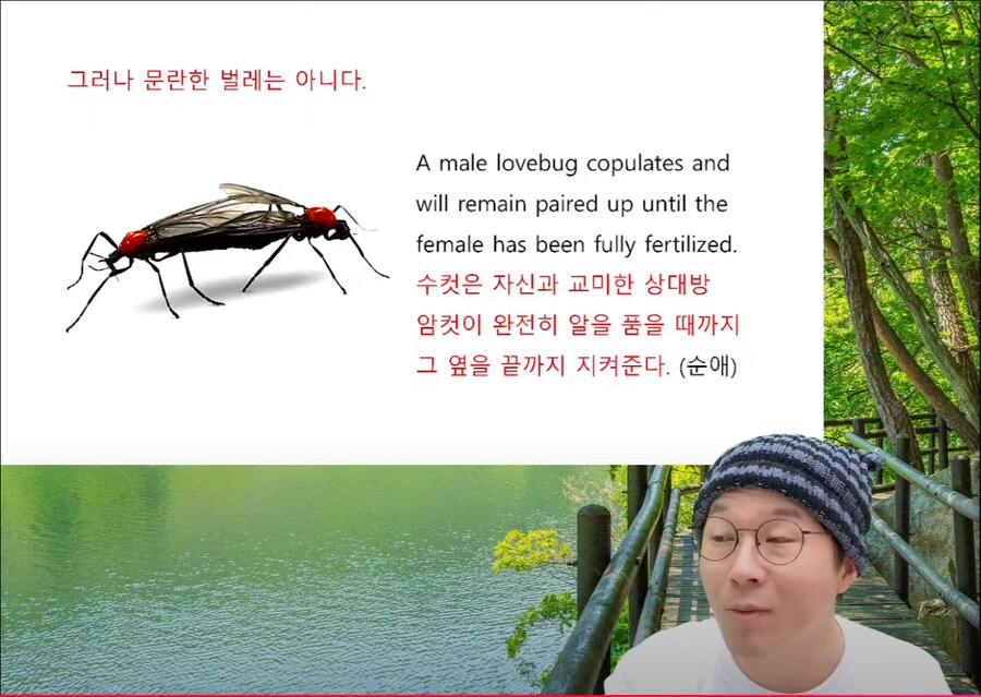 인방) 유게이들이 좋아하는 순애_1.png