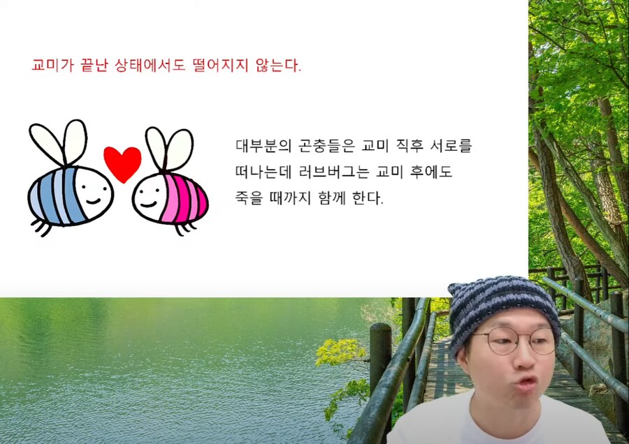 인방) 유게이들이 좋아하는 순애_2.png