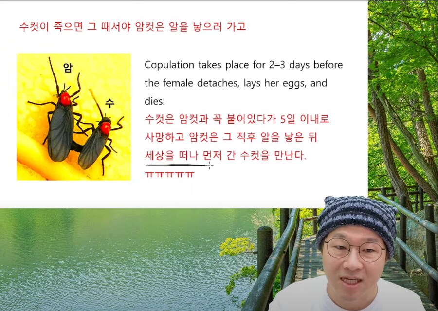 인방) 유게이들이 좋아하는 순애_3.png