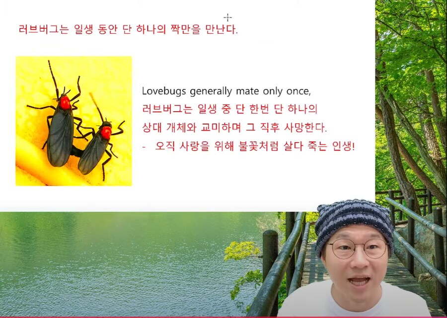 인방) 유게이들이 좋아하는 순애_4.png