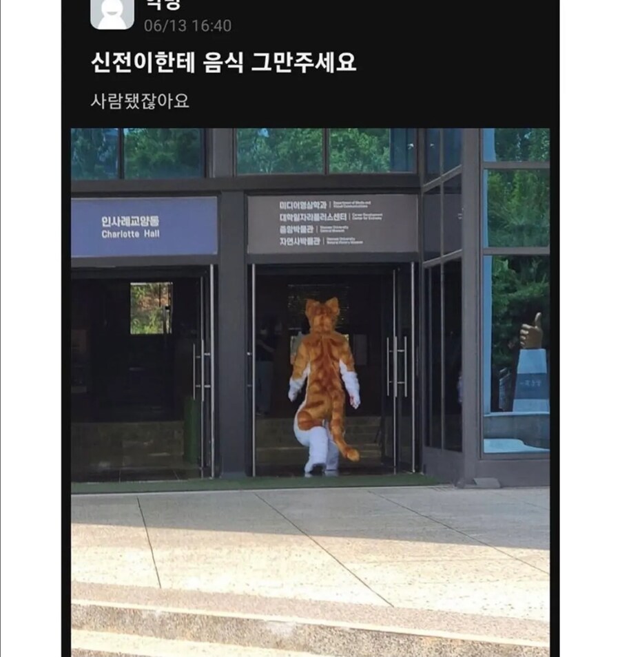 대학교 고양이에게 밥을 계속 준 결과_2.jpg