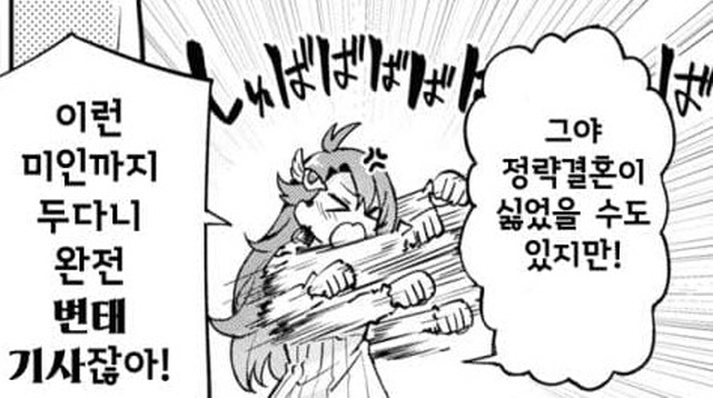 흑기사 남편과 첫날밤이 기대가 된다는 신부 만화_8.jpg