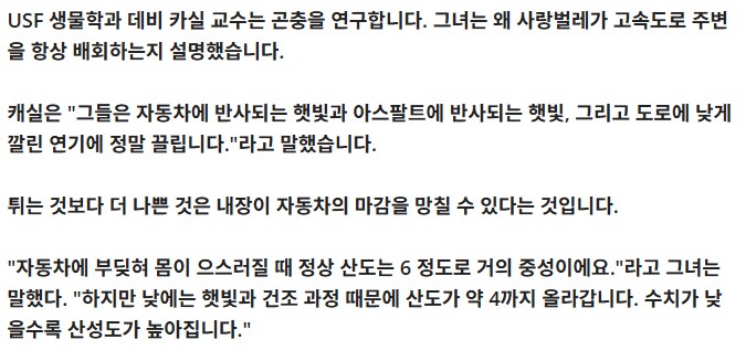 러브버그 오해) 얘들 몸이 진짜 산성일까?_1.png