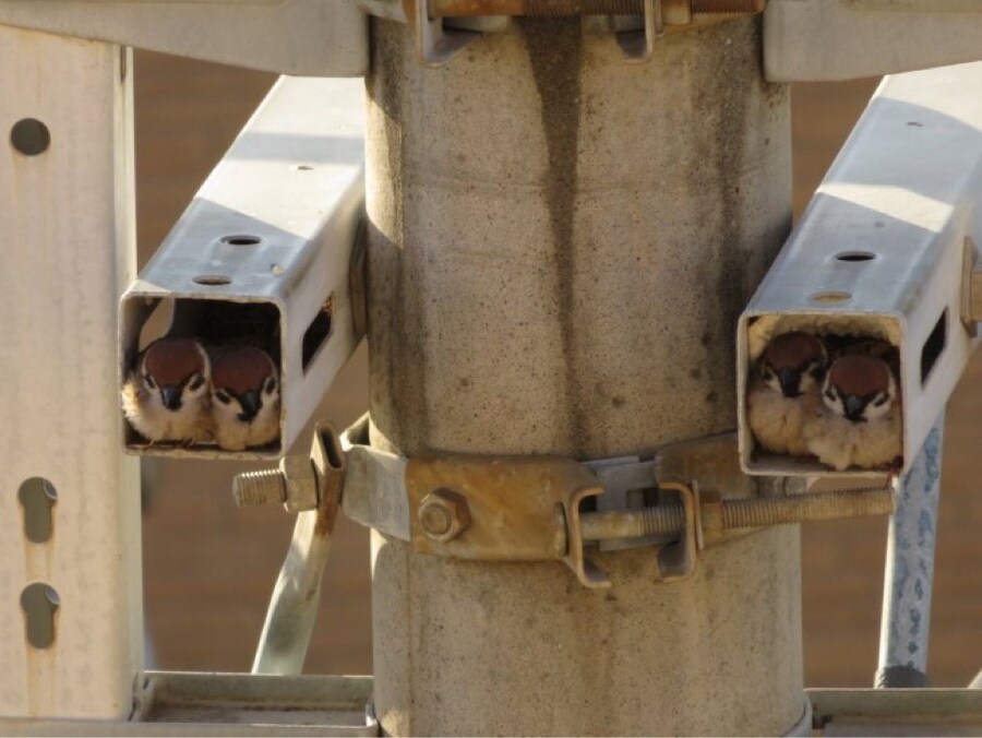 뭔가 이상한 CCTV.jpg_1.jpg