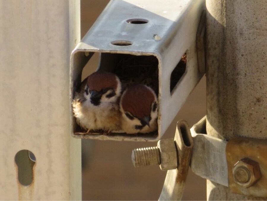 뭔가 이상한 CCTV.jpg_2.jpg