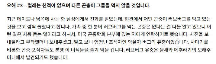 러브버그 오해) 얘들 몸이 진짜 산성일까?_3.png