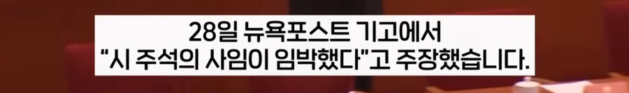 중국 핑핑이 근황.(feat.실각설)_15.png