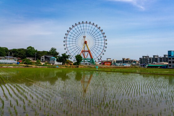대관람차에서 스릴을, 경주월드 신상 '타임 라이더' 얼리버드 후기_5.png