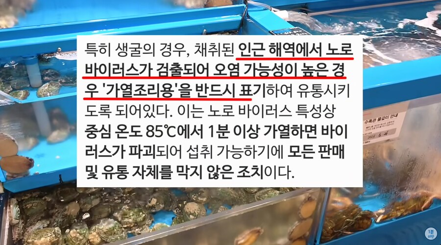 굴 꿀팁 (ㅇㅇㄱ 아님)_2.png