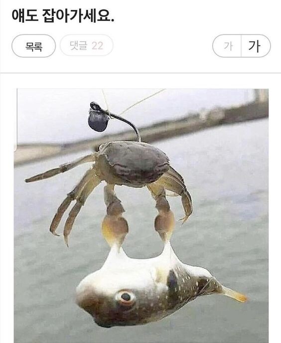 나를 잡아먹을셈인가!_1.jpg