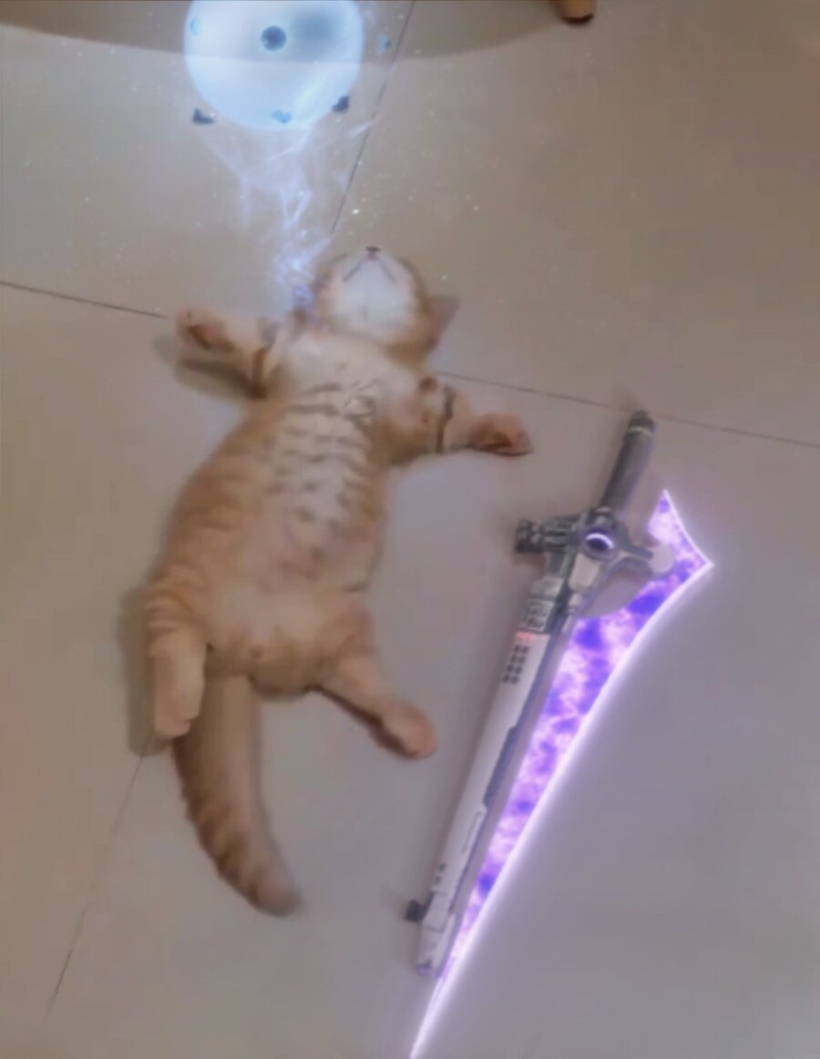 나 너무 무섭다_1.jpg