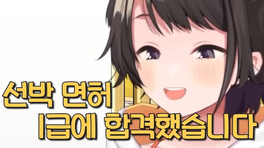 버튜버)뭔가 이상한 오해를 받았다_2.jpg