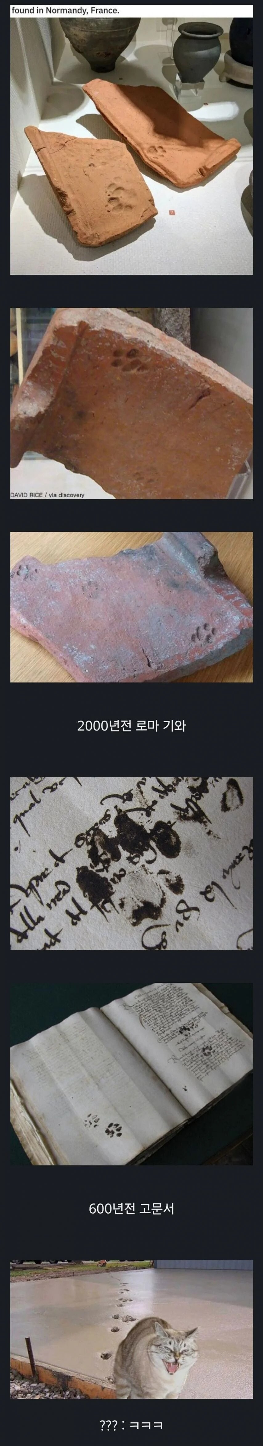 수천년간 똑같은 짓을 하는 동물.jpg_1.jpg