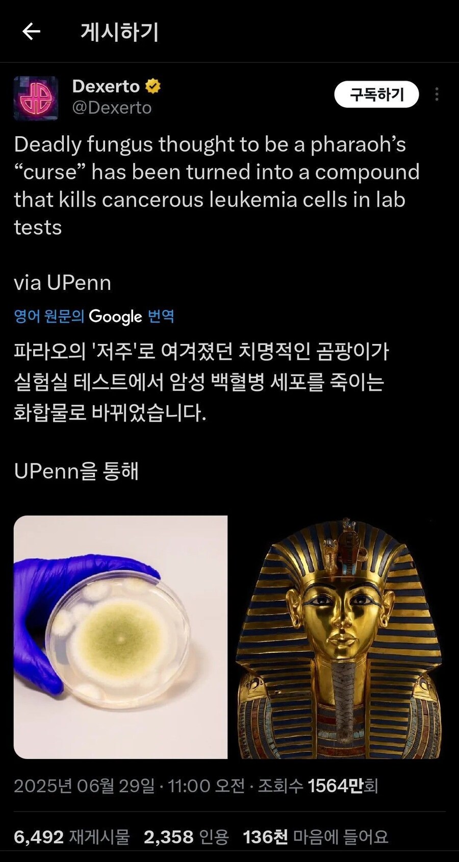 파라오 근황_1.jpg