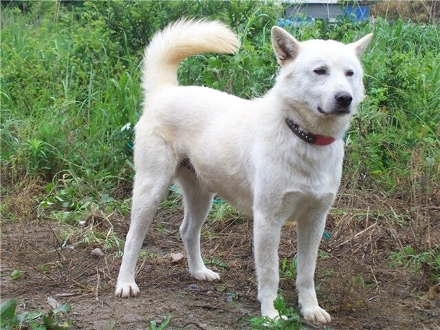 작성자 특_1.jpg