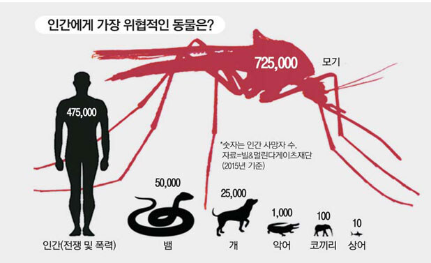 사실 진짜 익충은 러브버그가 아니라_1.jpg