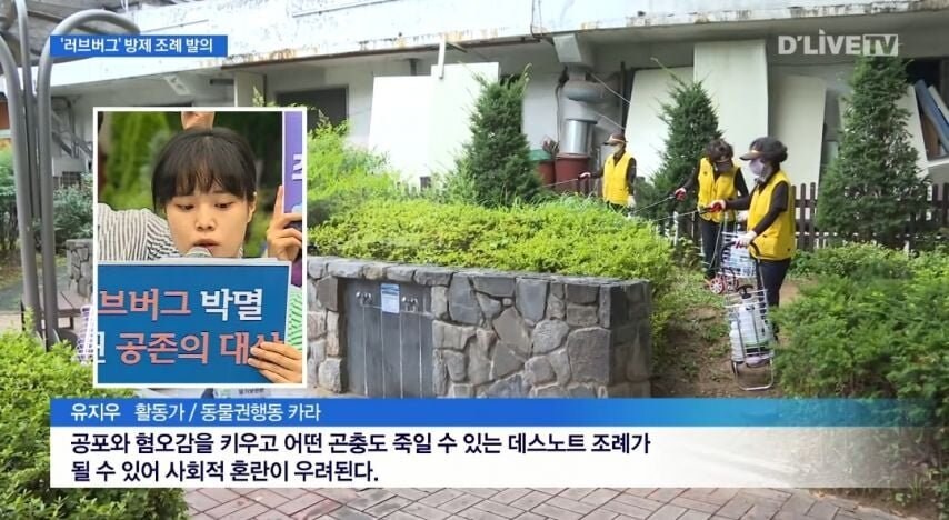 러브버그 박멸 아닌 공존의 대상_2.jpg