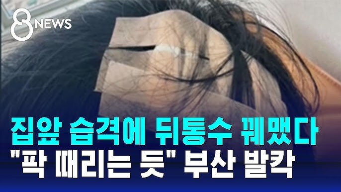 2025년 5~6월 목격 키워드 정리 (초스압)_42.jpg