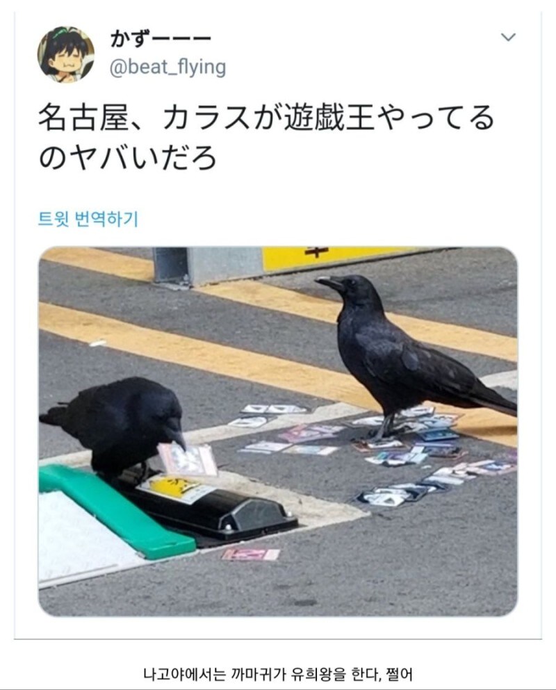 어둠의 듀얼이 무서운 이유_1.jpg