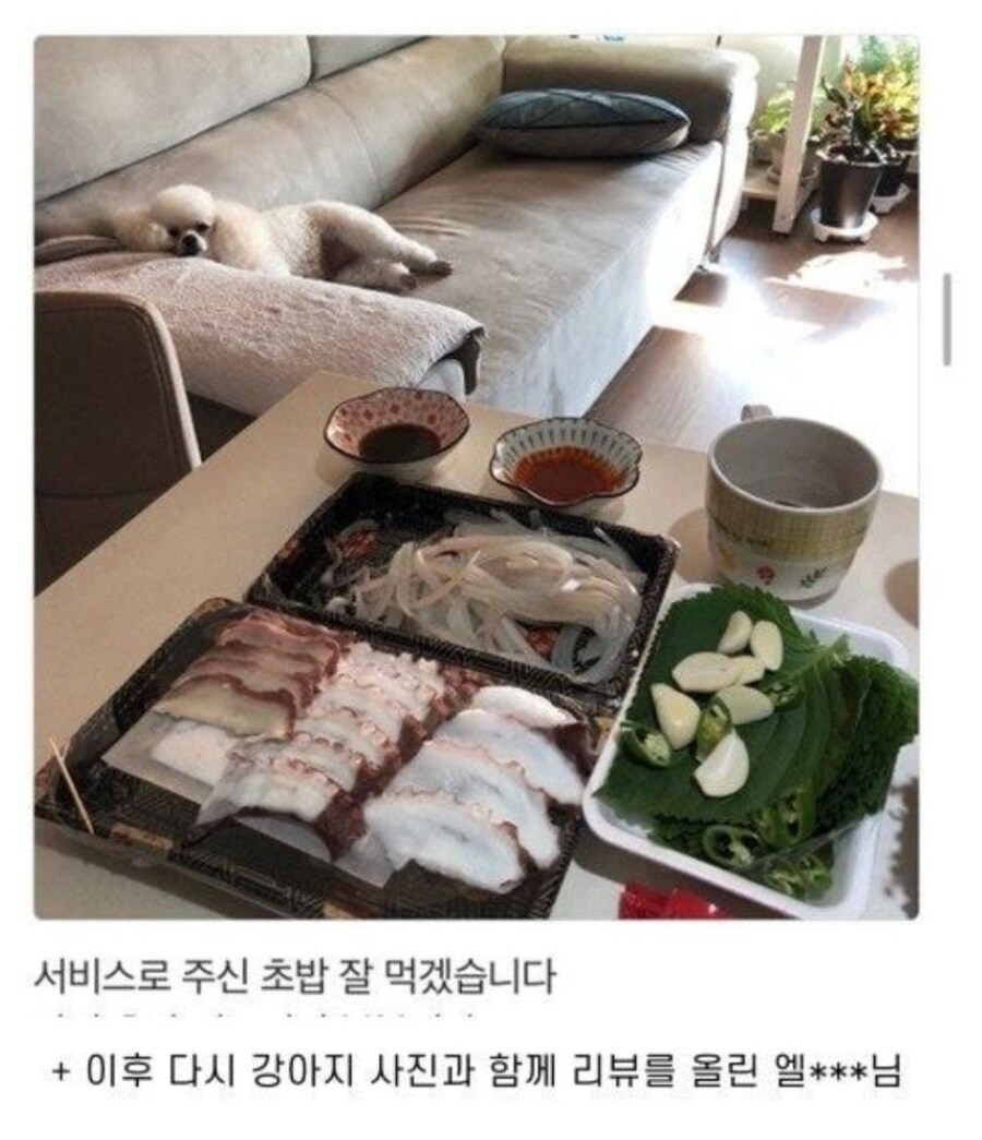 손님에게 아쉬운 소리하는 배달사장님_3.jpg