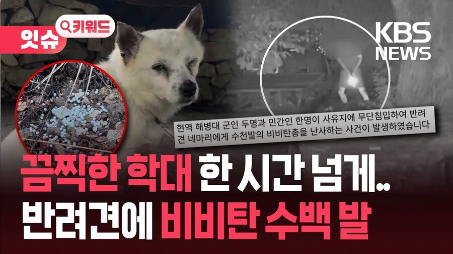 2025년 5~6월 목격 키워드 정리 (초스압)_71.jpg