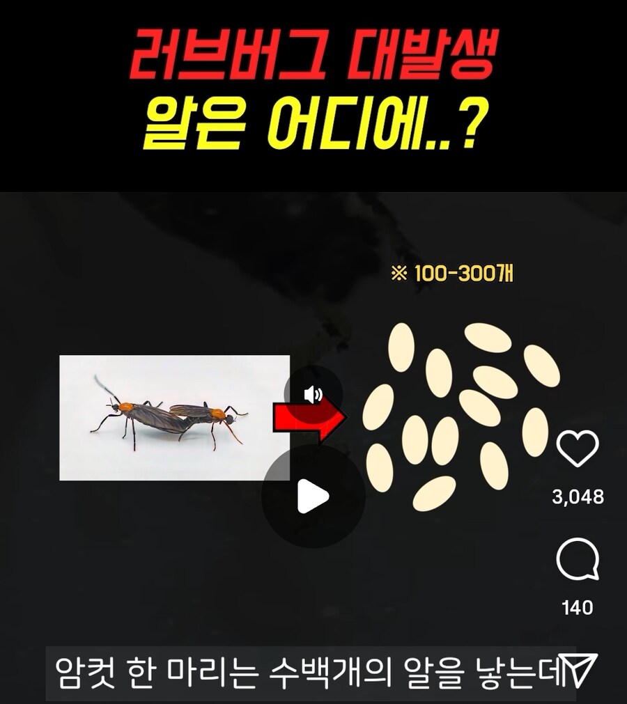 러브 버그가 많은 이유_1.png