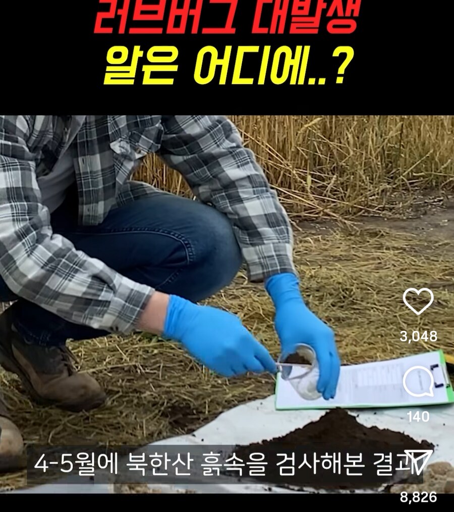 러브 버그가 많은 이유_2.png