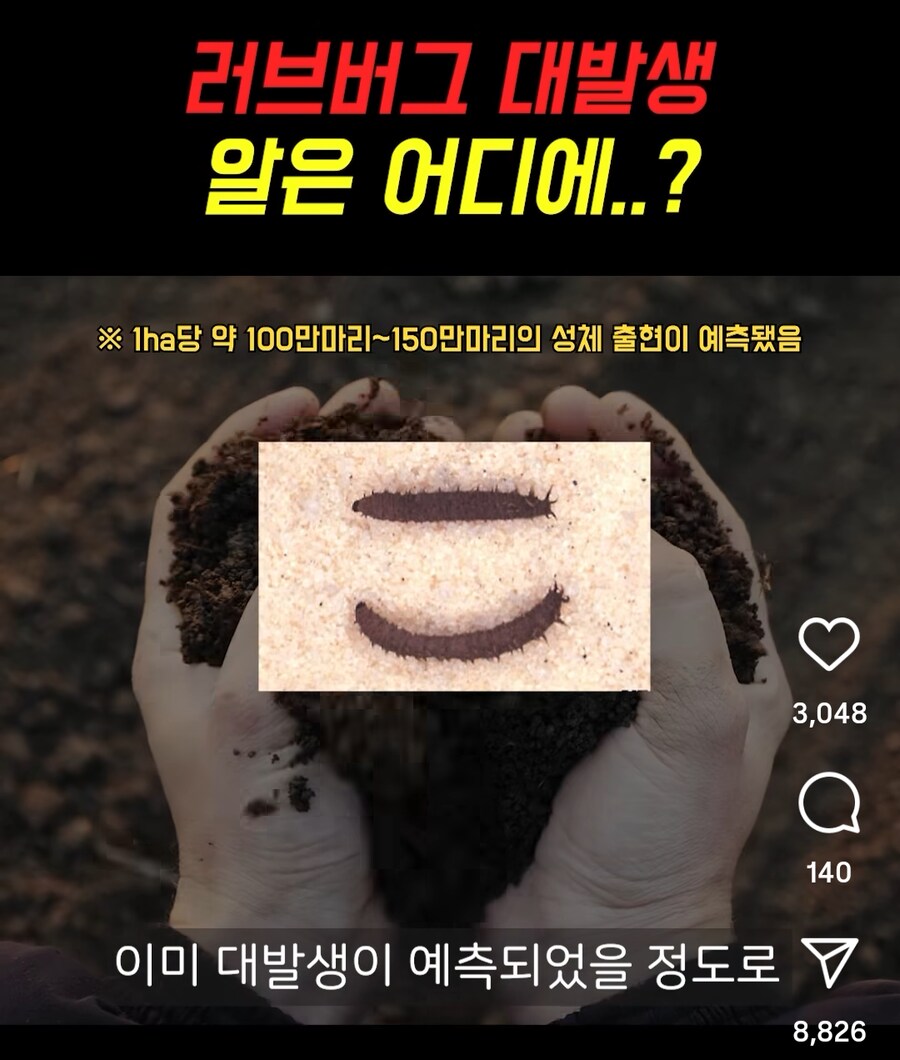 러브 버그가 많은 이유_3.png