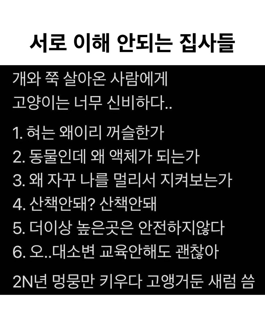 서로 이해안되는 고양이, 댕댕이 집사들_1.jpg