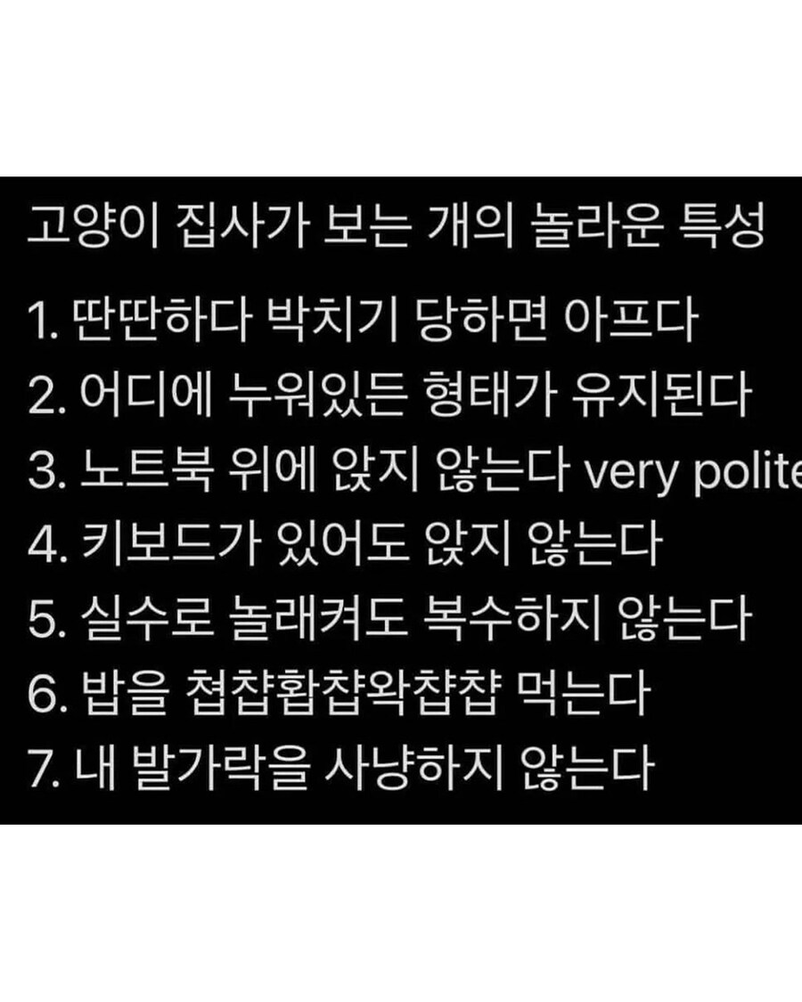 서로 이해안되는 고양이, 댕댕이 집사들_2.jpg