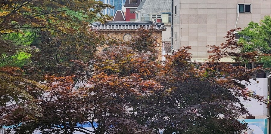 케이팝)Free 색감(?)이 여름에도 가능한거였네_4.png