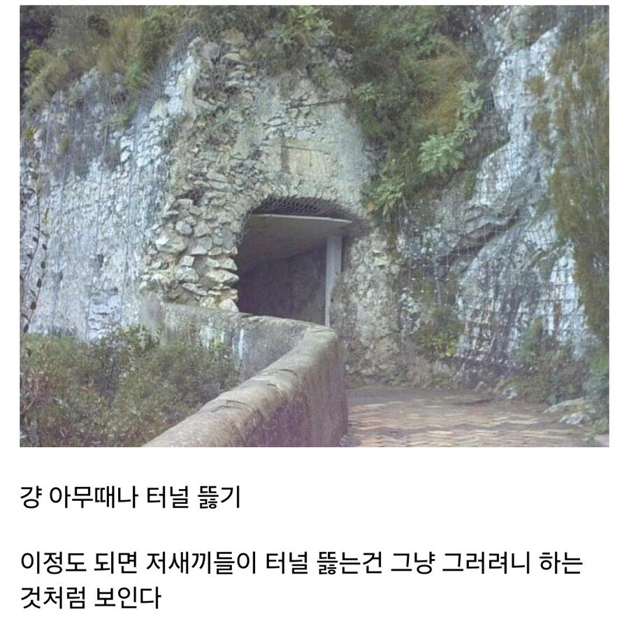 로마의 위엄_2.jpg