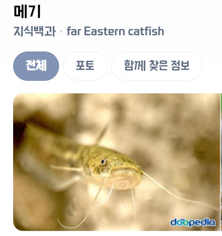 [버튜버]미국인에게 들은 상어고등어 이야기_3.png