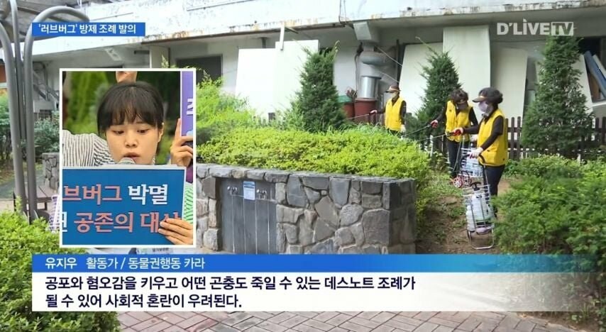 러브버그 박멸아닌 공존의 대상_1.png