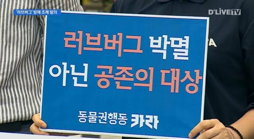 러브버그 박멸아닌 공존의 대상_2.png